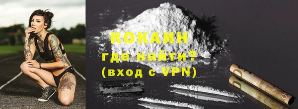 прущие грибы Абинск