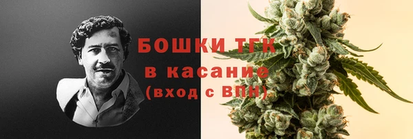 прущие грибы Абинск