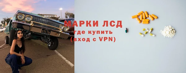 прущие грибы Абинск