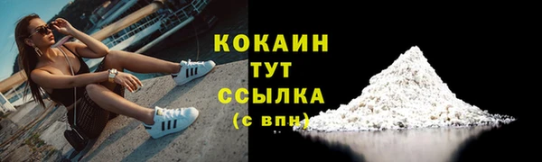 винт Абаза