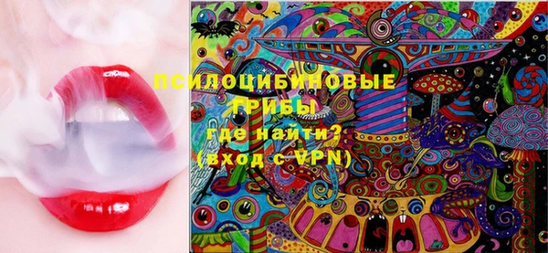винт Абаза