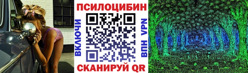 продажа наркотиков  Саранск  Псилоцибиновые грибы Psilocybine cubensis 