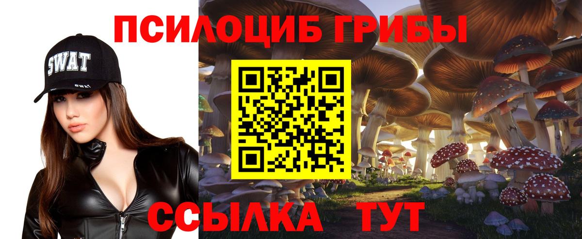 Псилоцибиновые грибы Magic Shrooms Саранск