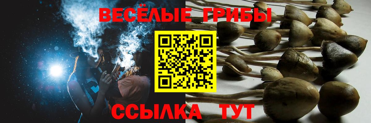 Галлюциногенные грибы Psilocybine cubensis  Псилоцибиновые грибы GOLDEN TEACHER  Саранск  Вход с VPN 